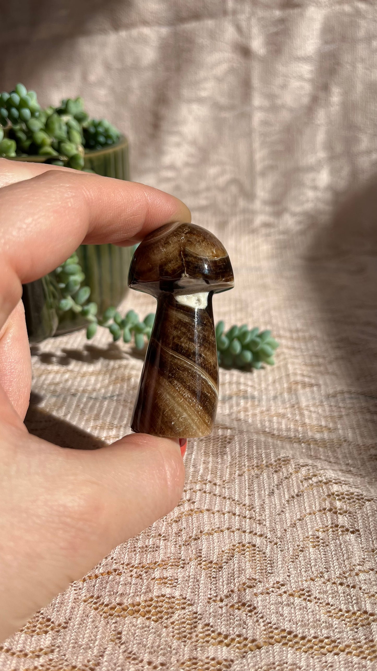 Chocolate Calcite Crystal Mushroom