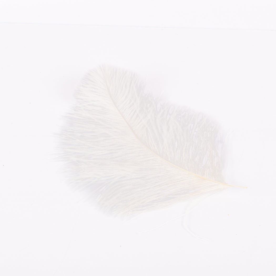 Large White Ostrich Feather