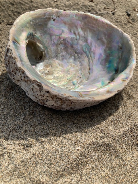 Spiritual abalone shell accessory