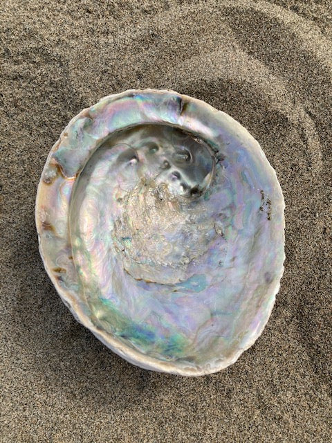 Natural abalone shell accessory