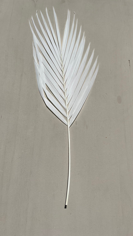 Luxe Pure White Palm Leaf