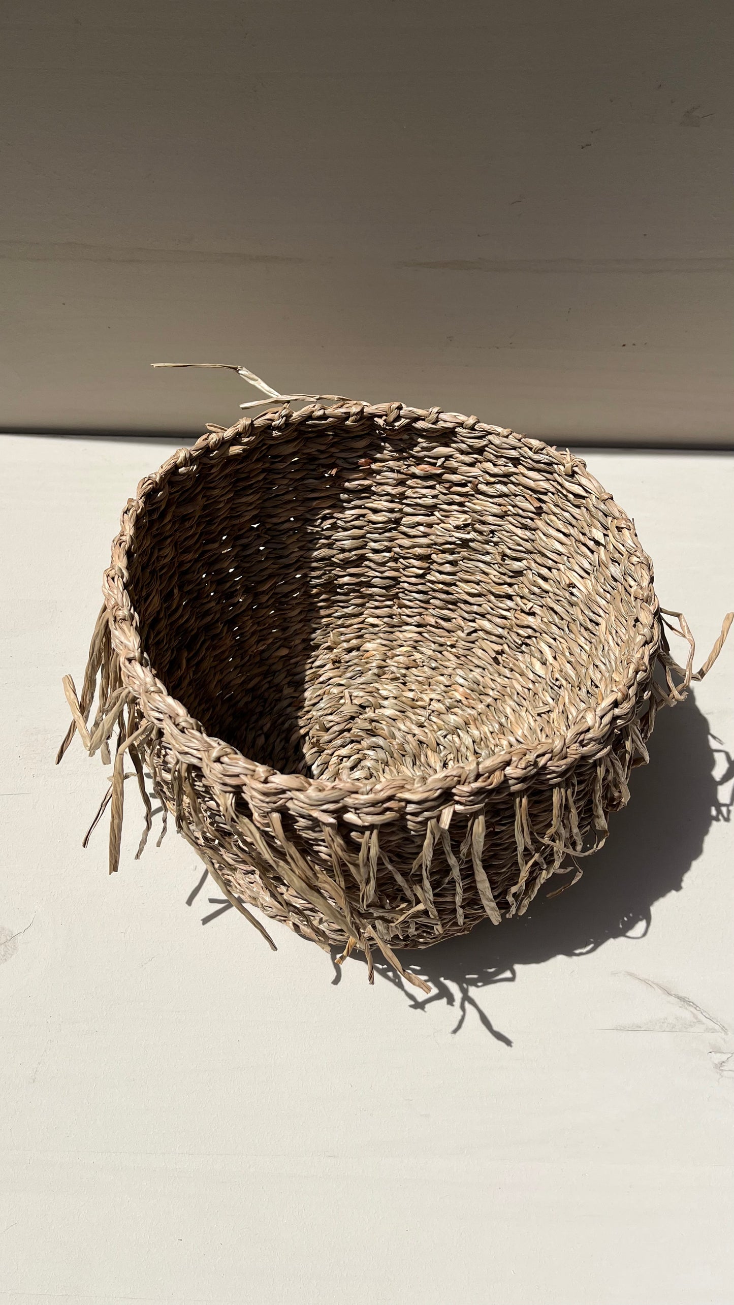 Grass Fringe Basket